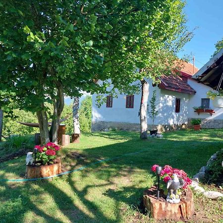 Etno Guest House Lalovic Tjentiste Buitenkant foto
