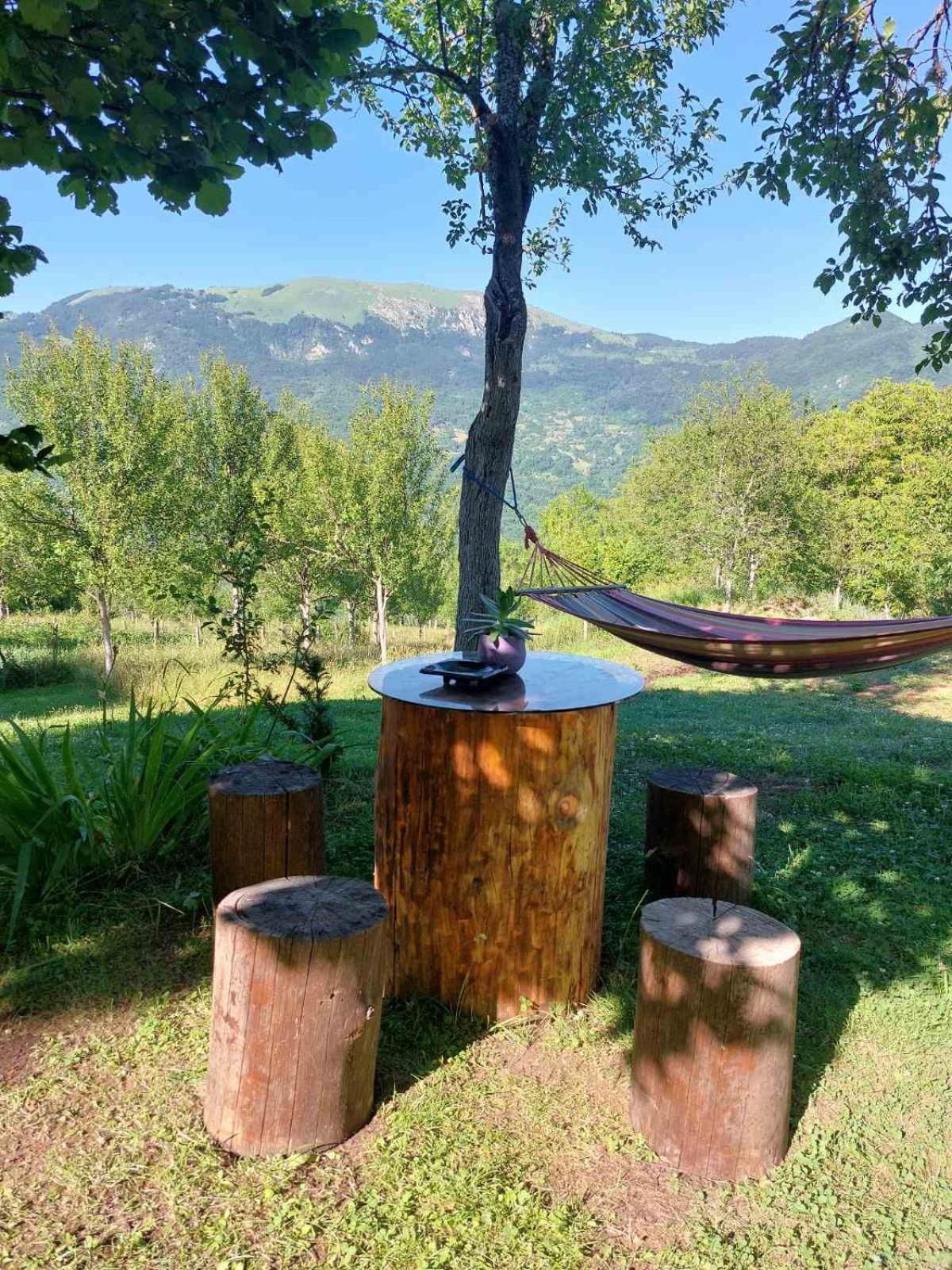 Etno Guest House Lalovic Tjentiste Buitenkant foto