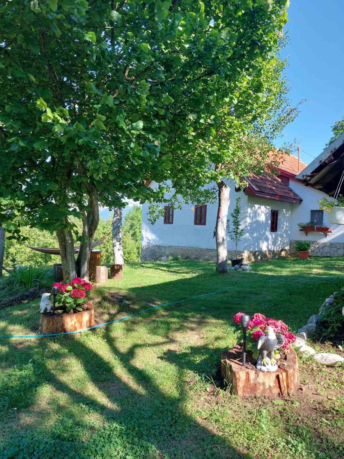 Etno Guest House Lalovic Tjentiste Buitenkant foto