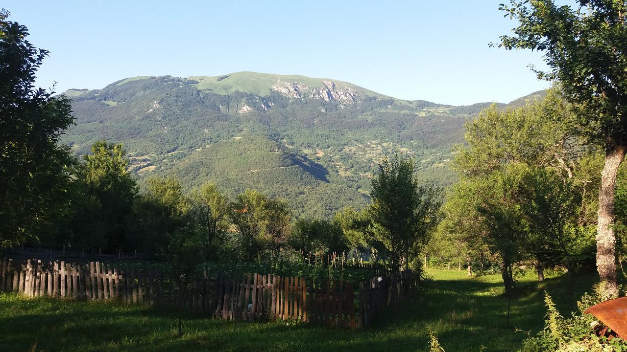 Etno Guest House Lalovic Tjentiste Buitenkant foto