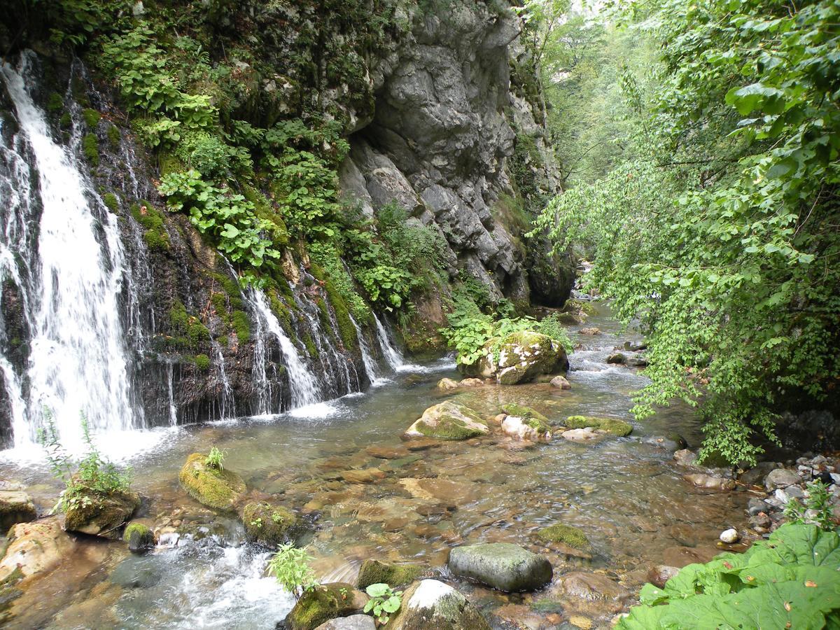 Etno Guest House Lalovic Tjentiste Buitenkant foto