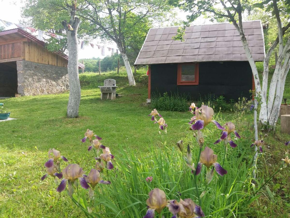 Etno Guest House Lalovic Tjentiste Buitenkant foto