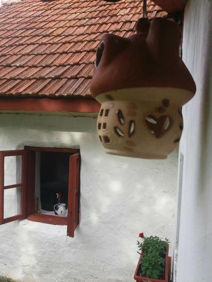 Etno Guest House Lalovic Tjentiste Buitenkant foto